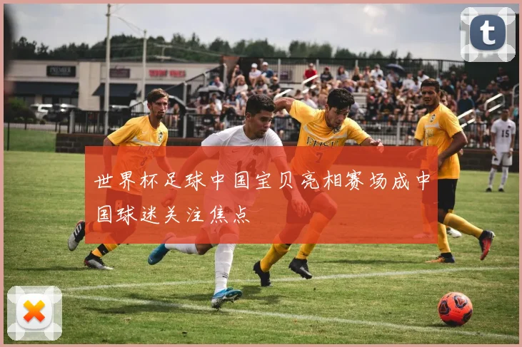 世界杯足球中国宝贝亮相赛场成中国球迷关注焦点