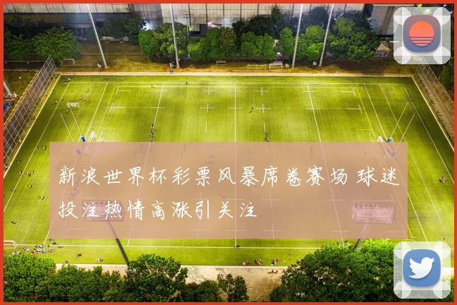 新浪世界杯彩票风暴席卷赛场 球迷投注热情高涨引关注