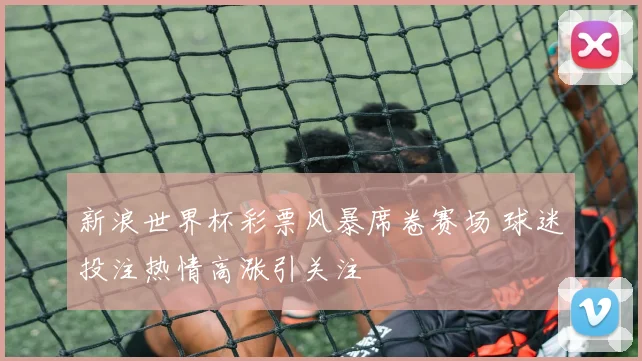 新浪世界杯彩票风暴席卷赛场 球迷投注热情高涨引关注