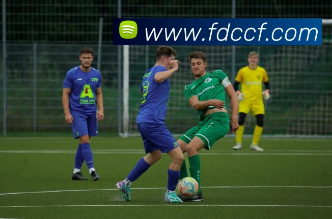 世界杯官网平台平台生态图