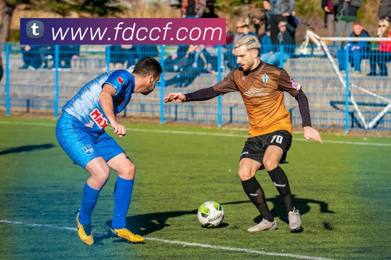 世界杯2022共进行多少场比赛引发关注，赛事规模一目了然